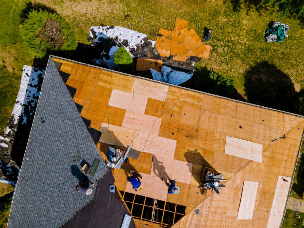 Best Roof Restoration Services  in Marshall, VA